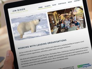 website design for authors